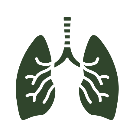 Respiratory Health