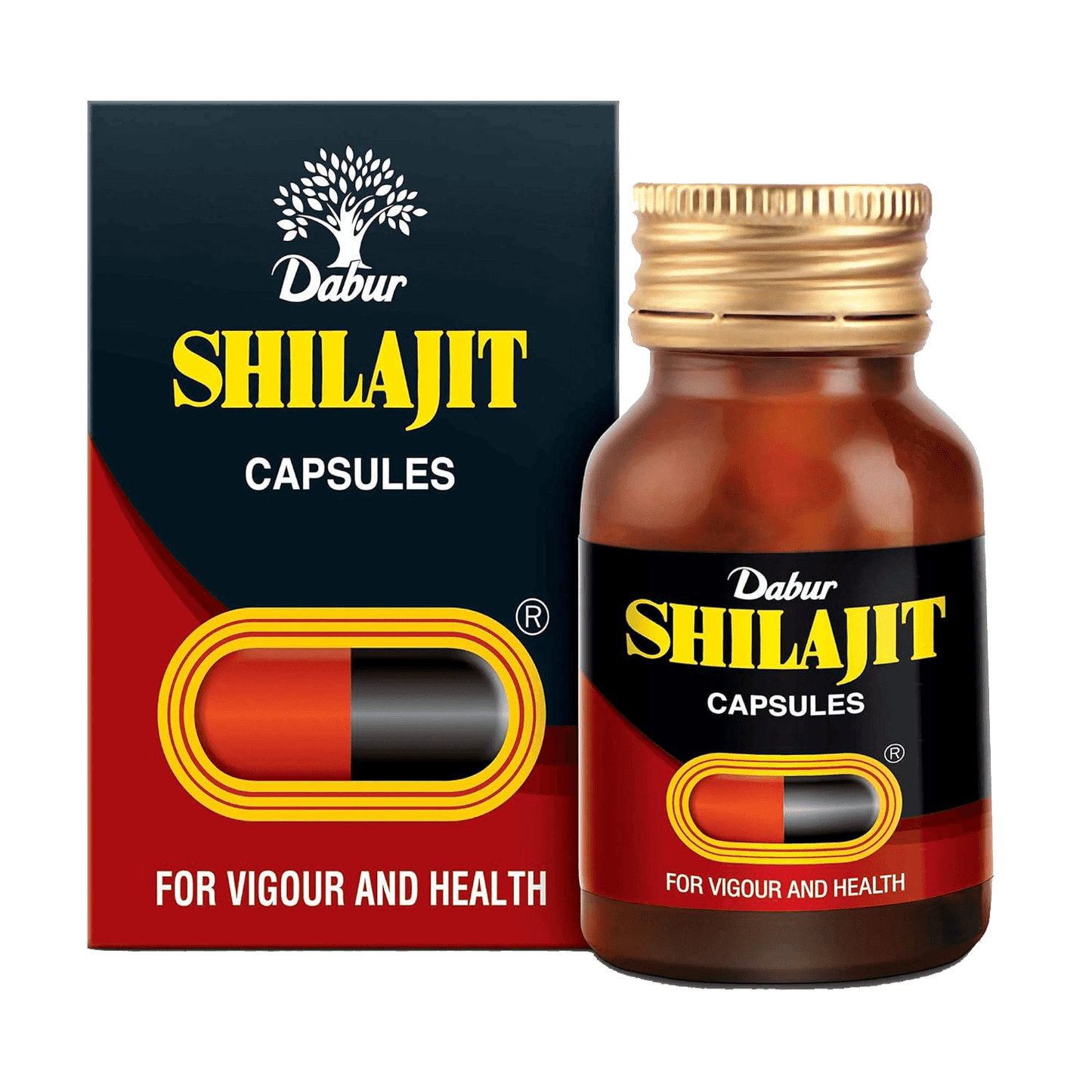 Dabur Shilajit Capsules - Daburshop