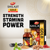 Dabur Shilajit Gold For Immunity, Strength, Stamina & Power