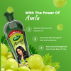 Dabur Amla Hair Oil