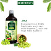 Dabur Amla Juice