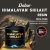 Dabur Himalayan Shilajit Resin