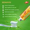 Dabur Meswak Toothpaste (Free Toothbrush)