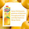 Real Fruit Power Alphonso Mango Nectar