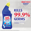 Sani Fresh Advanced Toilet Cleaner (Free Odonil 48g)