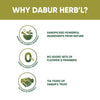 Dabur Herb'l Neem Toothpaste