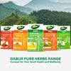 Dabur Amla Tablets