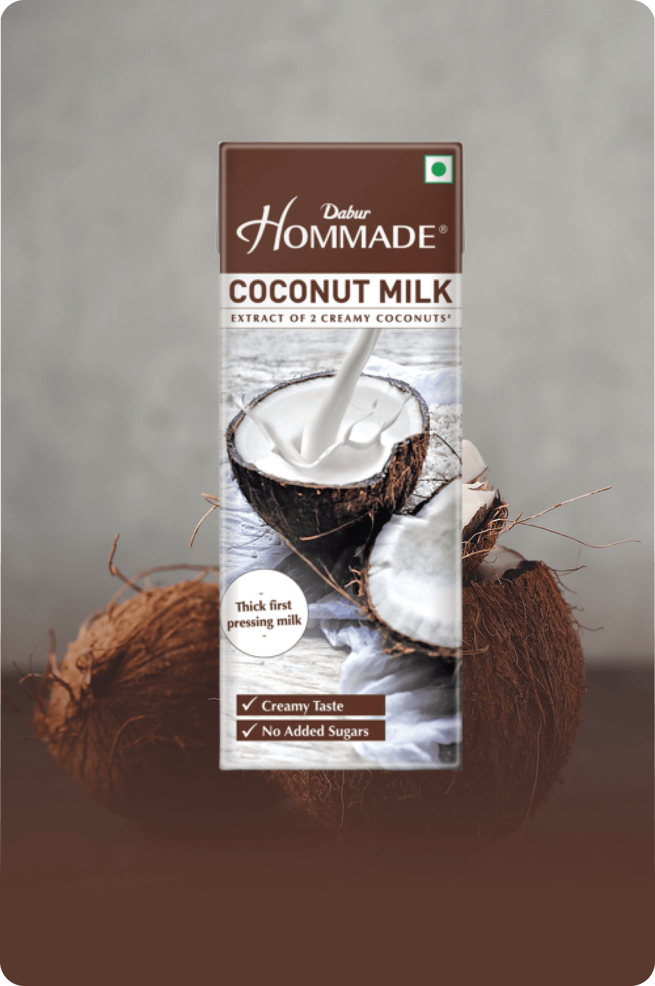 Dabur Hommade Coconut Milk - Daburshop