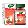 Dabur Ashwagandha Tablets